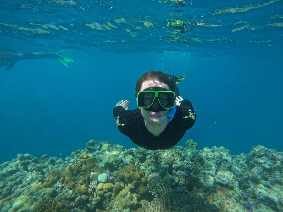 Airlie Beach: Great Barrier Reef & Whitehaven Beach Tour - Food, snacks, and what you actually get on board