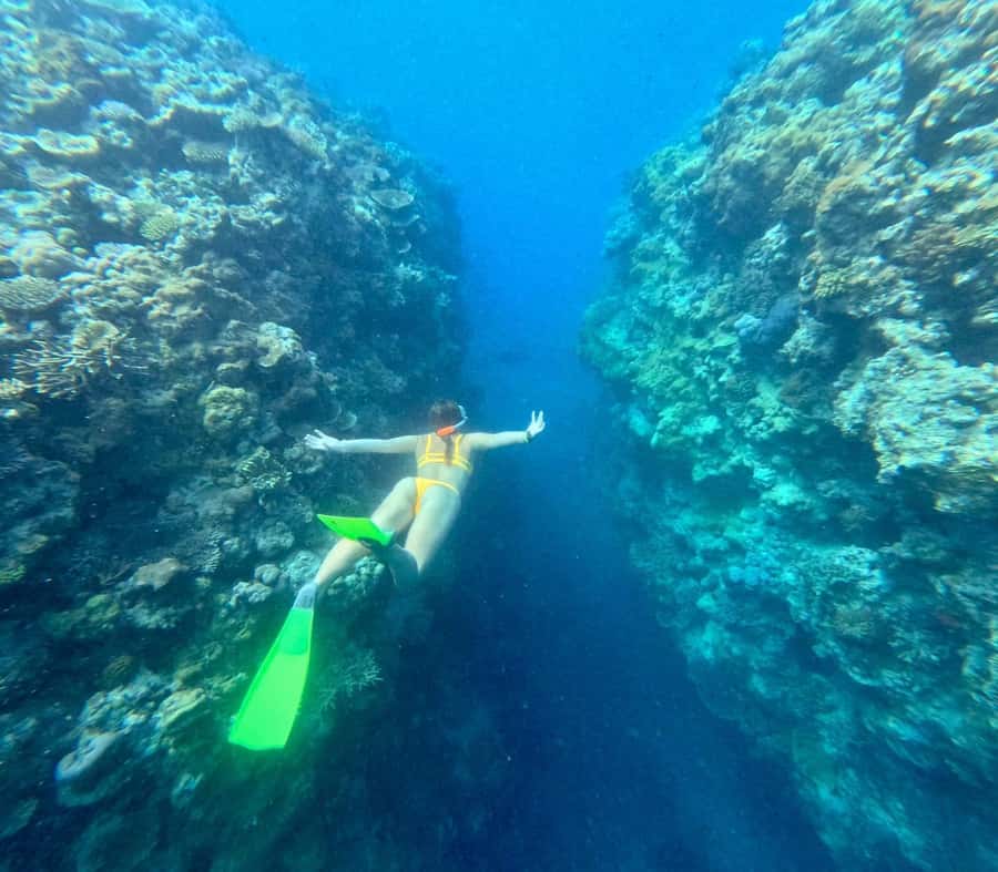 Airlie Beach: Great Barrier Reef & Whitehaven Beach Tour - Who this tour suits best, and who should skip it