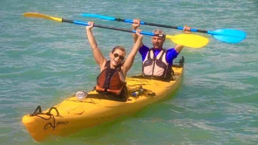 Airlie Beach: Half Day Turtle Tour Sea Kayaking Adventure - Key Things You’ll Notice on the Turtle Kayak Tour
