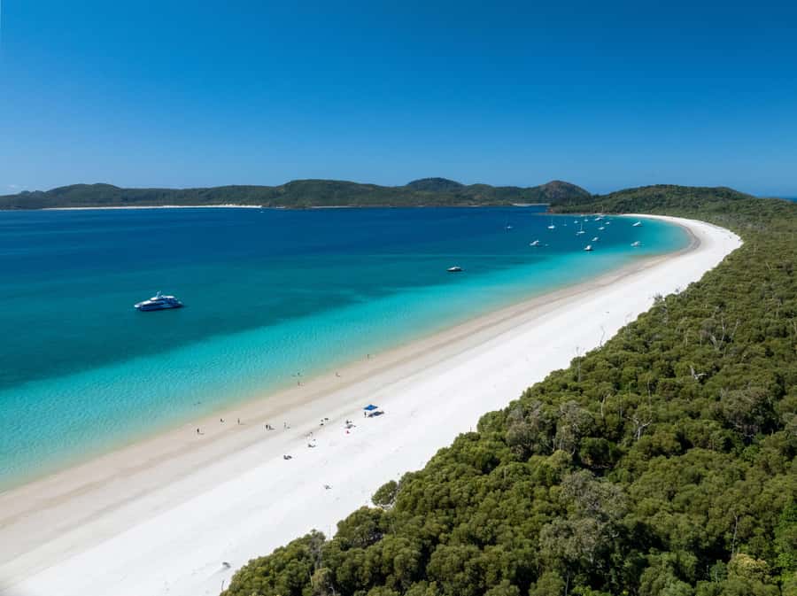 Airlie Beach: Hill Inlet Lookout and Whitehaven Beach Cruise - What the crew does well, from bus pickup to the lookout walks
