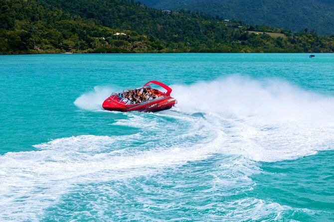 Airlie Beach Jet Boat Thrill Ride - Wildlife spotting in Pioneer Bay: what you can hope for