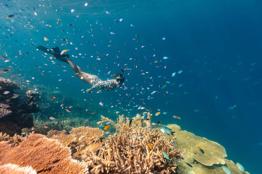 Airlie Beach: Outer Great Barrier Reef Snorkeling Day Trip - Safety Prep and In-Water Support That Actually Helps