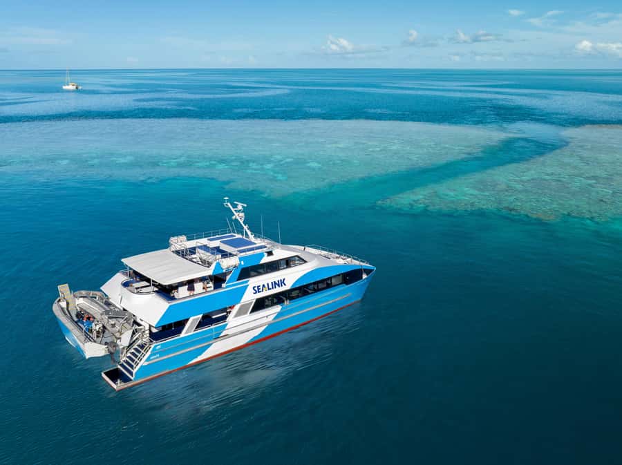 Airlie Beach: Outer Great Barrier Reef Snorkeling Day Trip - What You’ll Likely See Underwater