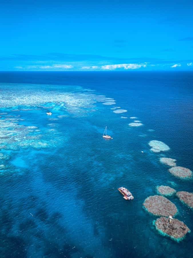 Airlie Beach: Outer Great Barrier Reef Snorkeling Day Trip - Comfort Details That Make or Break a Snorkel Day