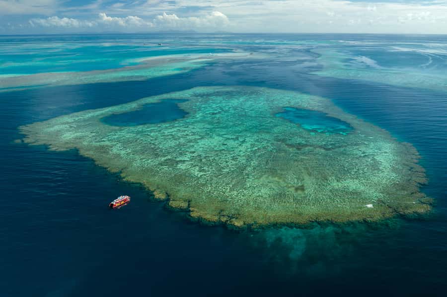Airlie Beach: Outer Great Barrier Reef Snorkeling Day Trip - Price and Value at $211 Per Person
