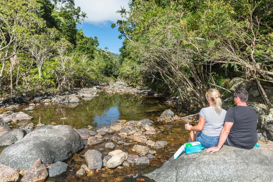 Airlie Beach: Segway Rainforest Discovery Tour - Segway training: short, friendly, and built for first-timers