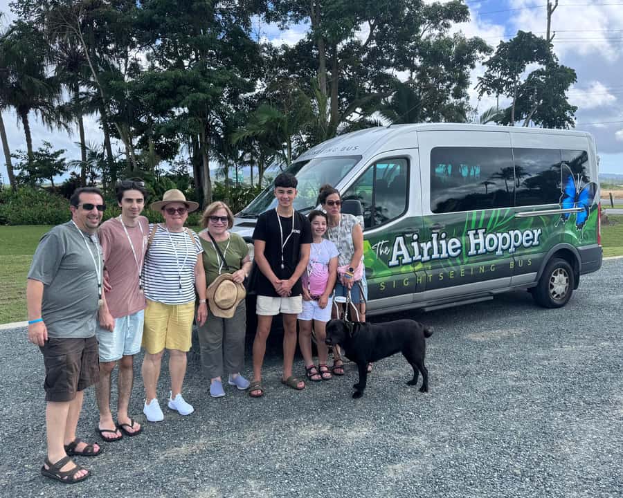 Airlie Beach: Sightseeing Bus Tour - Getting Picked Up Smoothly in Airlie Beach (and Not Stressing the Details)