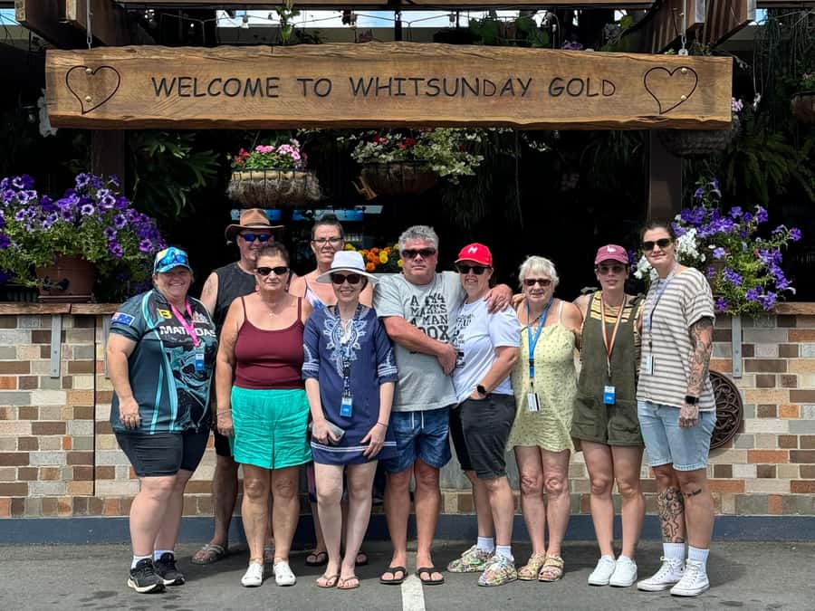 Airlie Beach: Sightseeing Bus Tour - Cedar Creek Falls: The Swim Stop You Should Actually Plan For