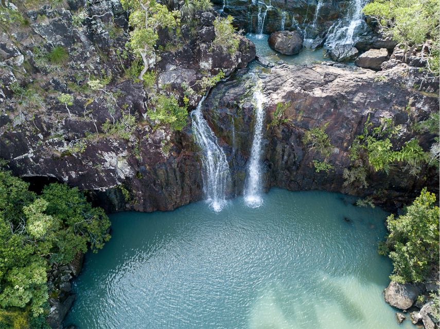 Airlie Beach: Sightseeing Bus Tour - Price and Value: Is $102 Fair for a Four-Hour Tour?