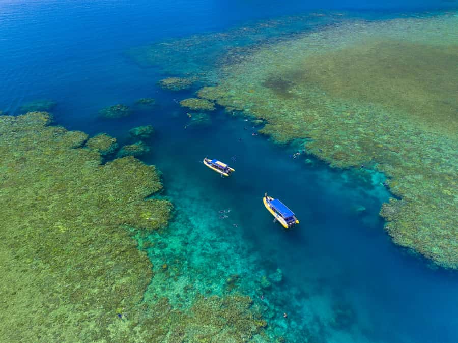 Airlie Beach: Snorkel, Hill Inlet Lookout & Whitehaven Beach - Northern Exposure vs Southern Lights, choosing the right Whitehaven day