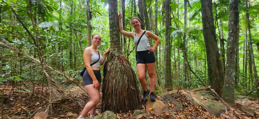 Airlie Beach: Waterfall & Rainforest Bushwalk Eco Adventure - Key highlights worth planning for