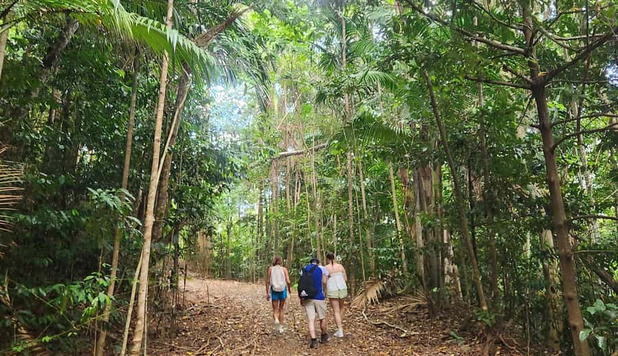 Airlie Beach: Waterfall & Rainforest Bushwalk Eco Adventure - What’s included, and the lunch gap you should plan for