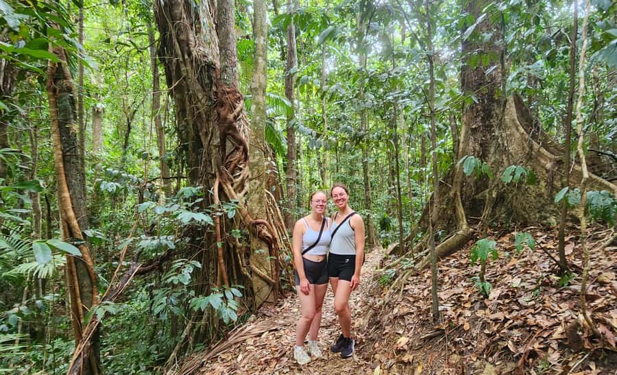 Airlie Beach: Waterfall & Rainforest Bushwalk Eco Adventure - Price and value: $84 for a guide-led rainforest plus waterfall time