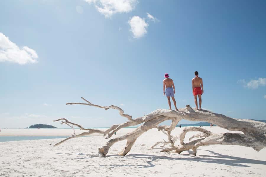 Airlie Beach: Whitehaven Beach Cruise and Hill Inlet - Lunch and tea on the sand, not in a hurry
