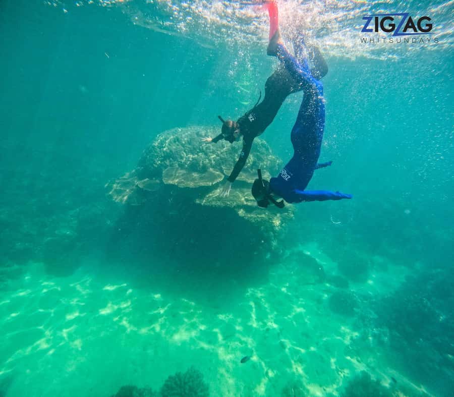 Airlie Beach: Whitehaven Beach Day Tour with Snorkel Option - Key things to know before you go