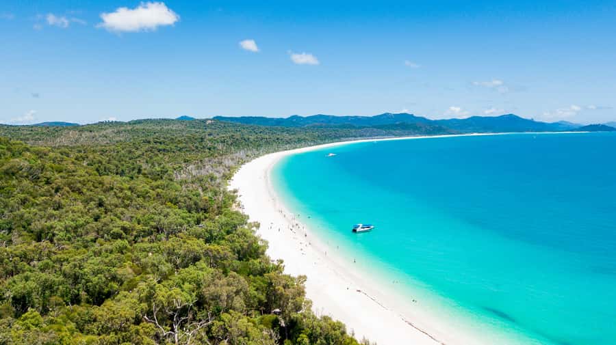 Airlie Beach: Whitehaven Beach Day Tour with Snorkel Option - Final verdict: should you book ZigZag Whitsundays to Whitehaven?