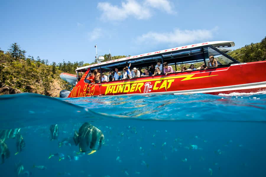Airlie Beach: Whitehaven Full-Day Eco-Cruise with Buffet - Snorkeling strategy in the Whitsundays, reef to Hook Island