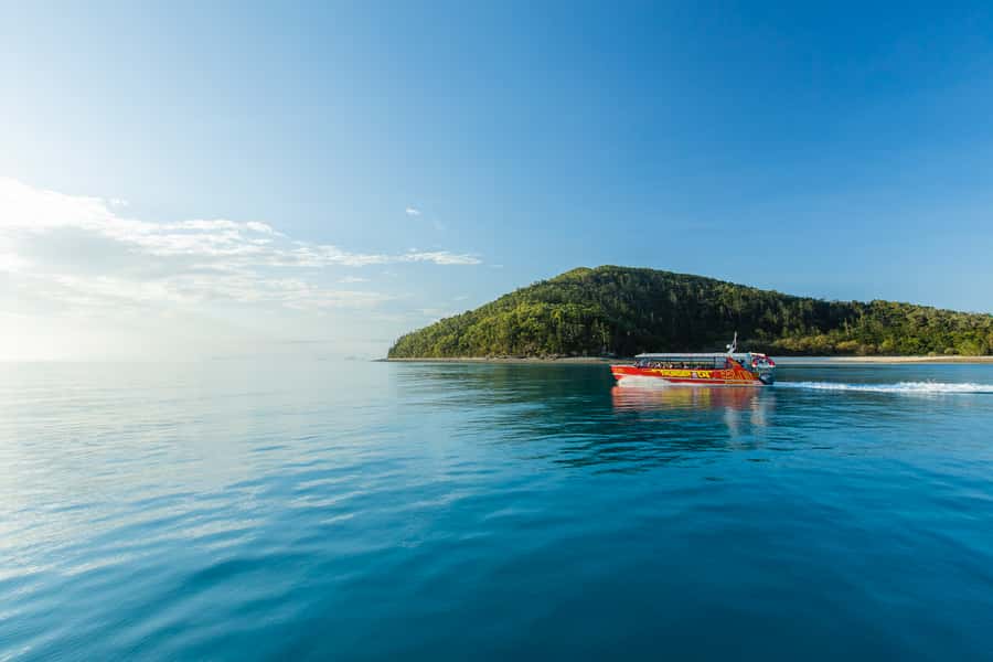 Airlie Beach: Whitehaven Full-Day Eco-Cruise with Buffet - Price and value: what $162 buys you in a full day