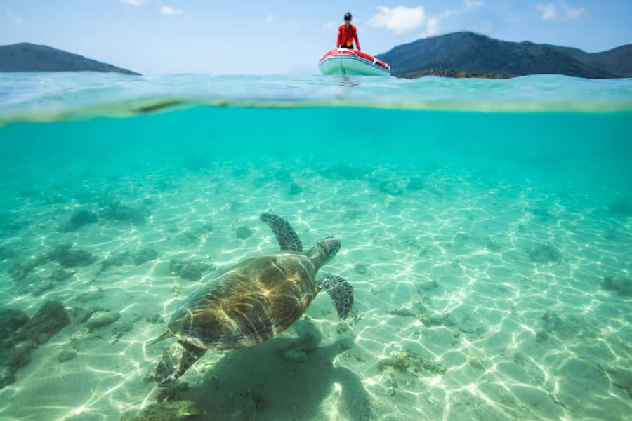 Airlie Beach: Whitehaven Full-Day Eco-Cruise with Buffet - Getting to Coral Sea Marina North End without stress