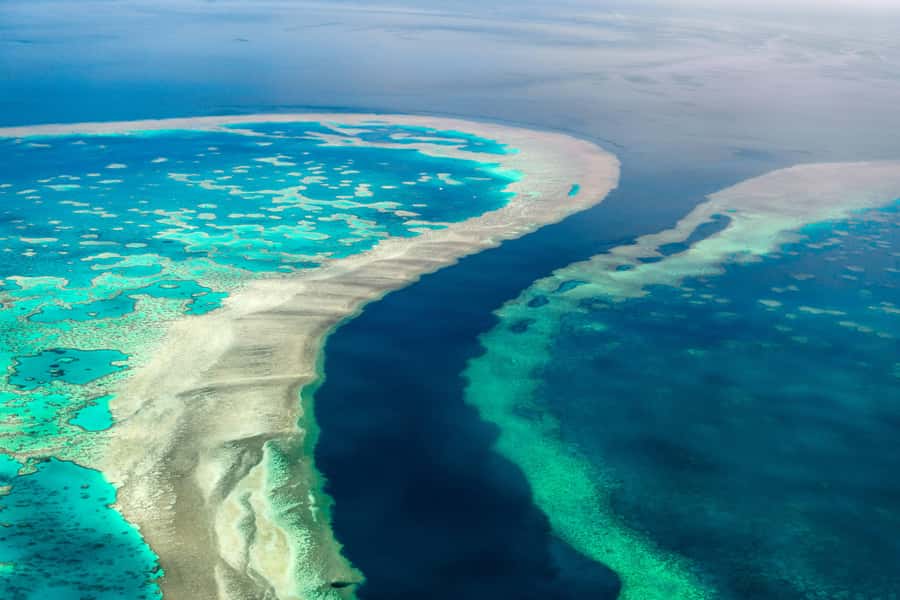 Airlie Beach: Whitsunday Islands & Heart Reef Scenic Flight - Price and what the $274, 65-minute duration really buys you