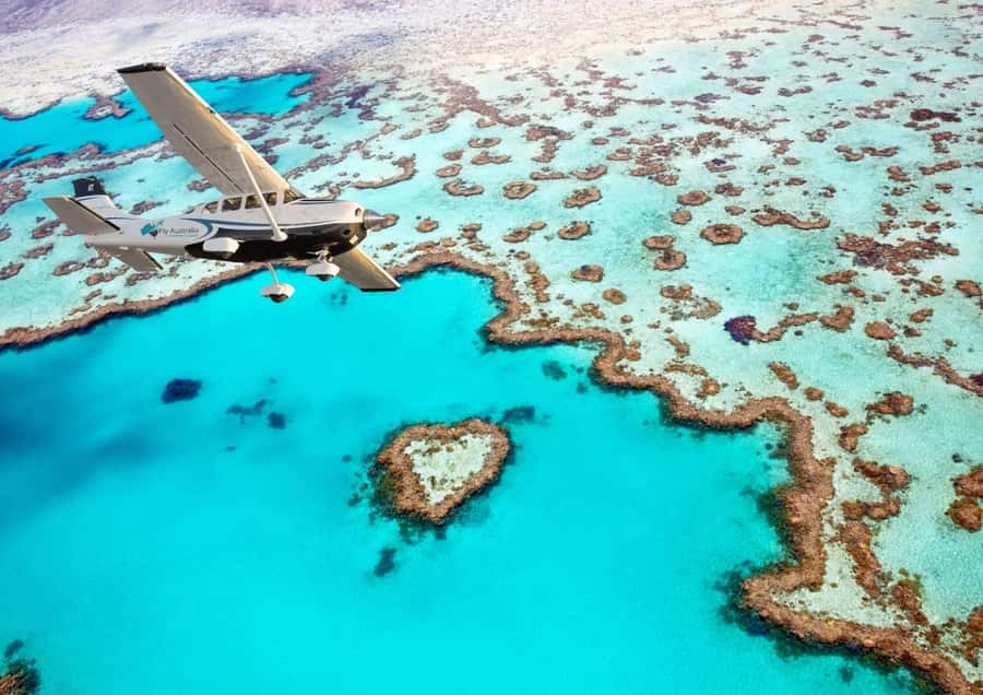 Airlie Beach: Whitsunday Islands & Heart Reef Scenic Flight - Onboard setup: panoramic windows, where to sit, and how the flight feels