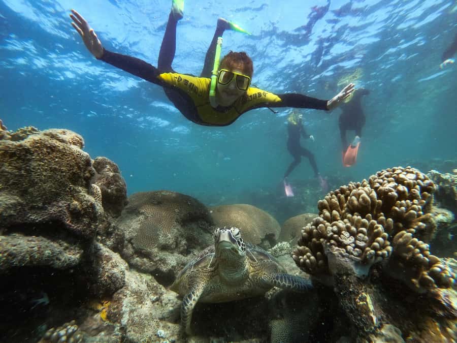 Airlie Beach: Whitsunday Islands Sailing, SUP & Snorkel Tour - Comfort details you feel all day, not just at check-in