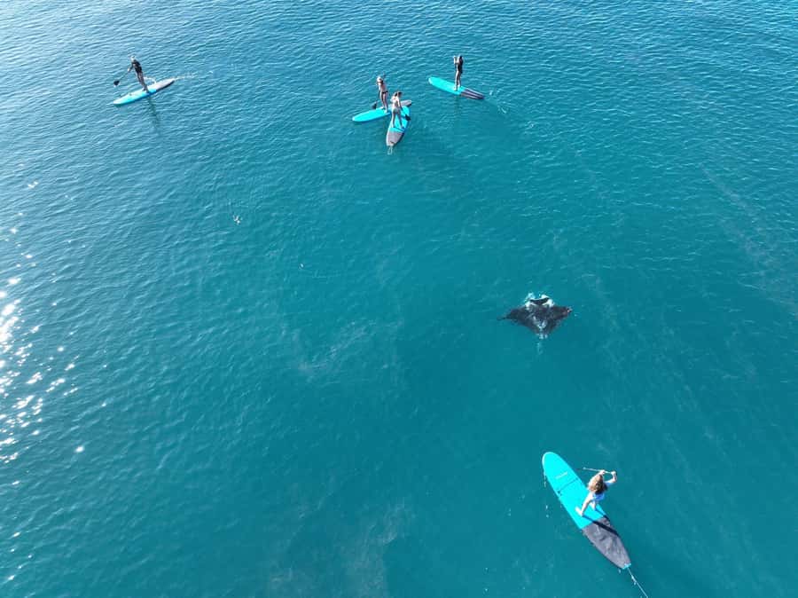 Airlie Beach: Whitsunday Islands Sailing, SUP & Snorkel Tour - Value and who this tour fits best in Airlie Beach