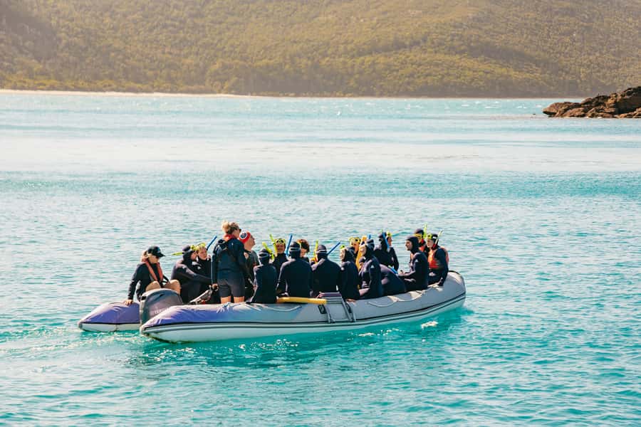 Airlie Beach: Whitsundays Full-Day Camira Sailing Adventure - Why this Camira sailing day works so well