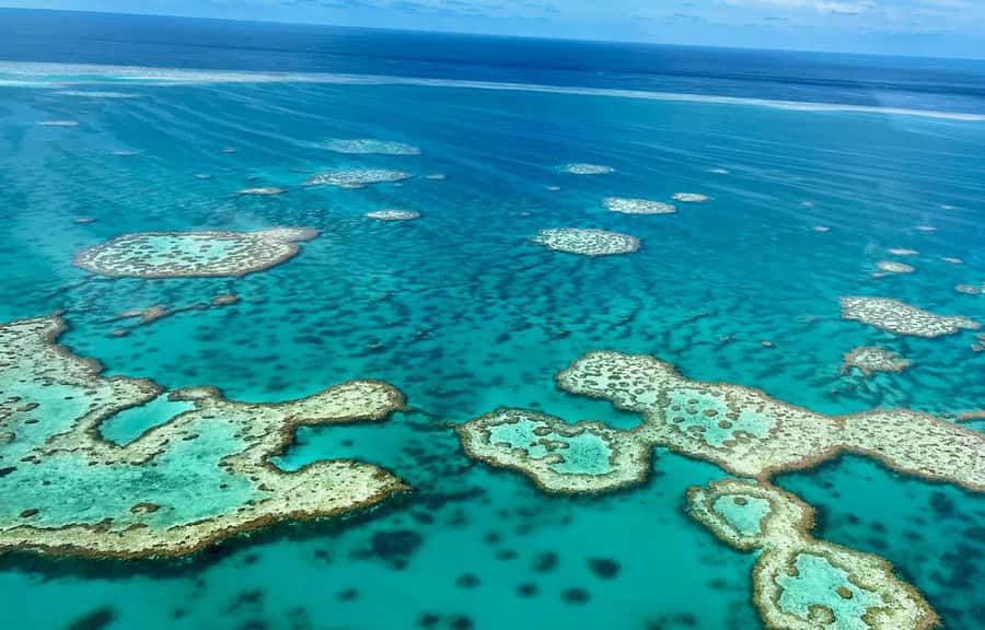 Airlie Beach: Whitsundays & Great Barrier Reef Scenic Flight - Why seeing the Whitsundays from above is worth the money