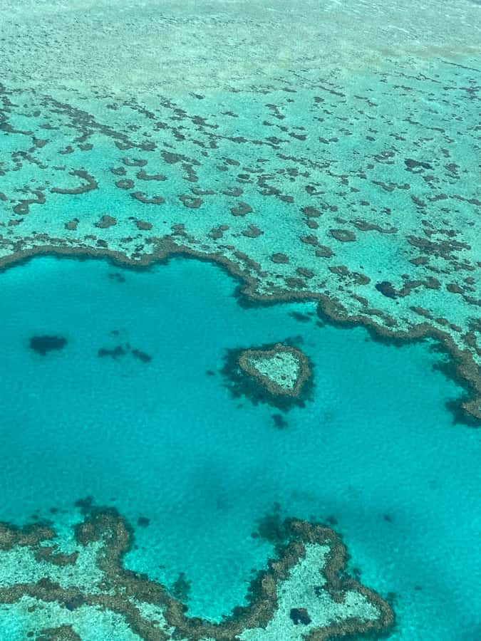 Airlie Beach: Whitsundays & Great Barrier Reef Scenic Flight - Pilot commentary in English, plus what to do if audio isn’t clear