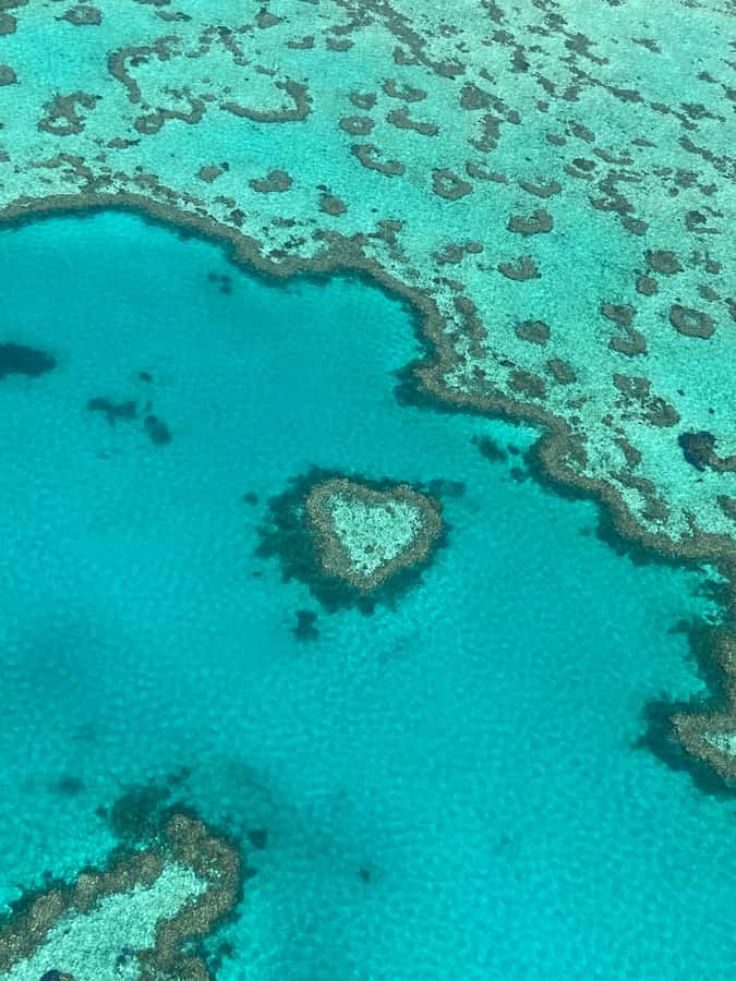 Airlie Beach: Whitsundays & Great Barrier Reef Scenic Flight - The flight length, transfers, and how to plan your day