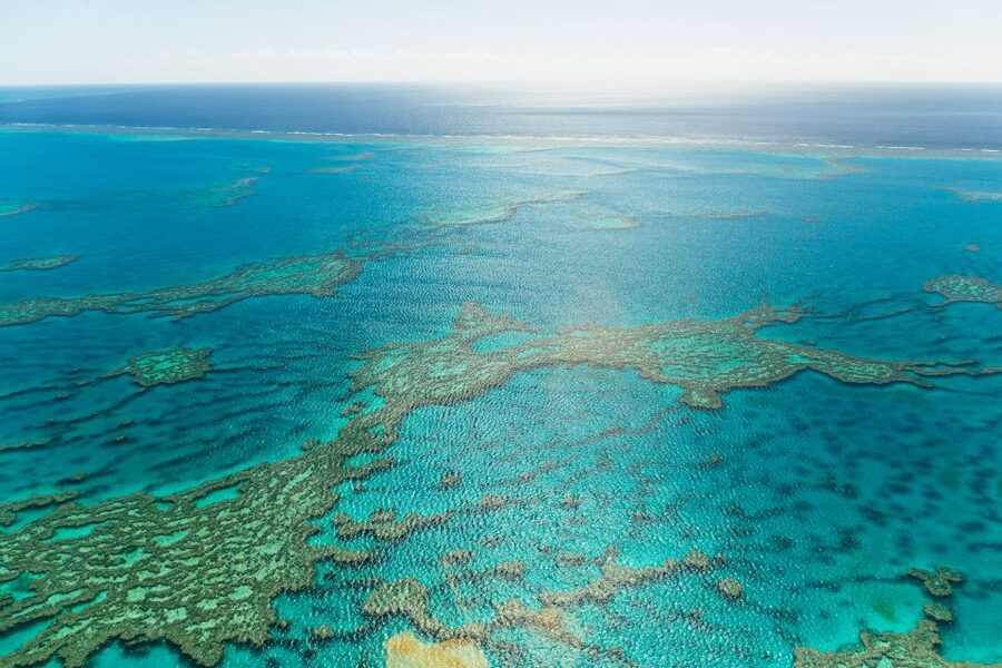 Airlie Beach: Whitsundays & Heart Reef Scenic Flight - Whitehaven Beach and Hill Inlet: the photo stop that sells the region
