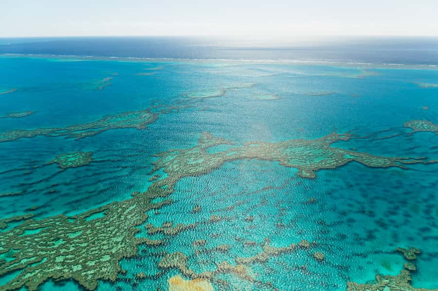 Airlie Beach: Whitsundays & Heart Reef Scenic Flight - Transport and logistics: what actually makes it easy