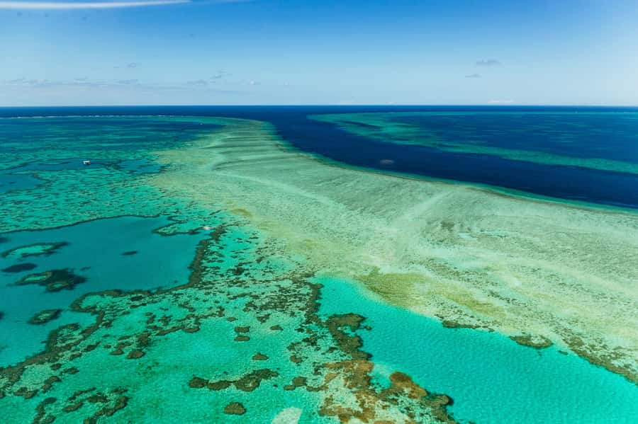 Airlie Beach: Whitsundays & Heart Reef Scenic Flight - The timing that can trip you up (and how to avoid it)