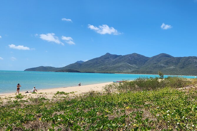 Airlie Coastal Beach Adventures - Dingo Beach & Cape Gloucester - Stop 5: The Return Drive Through Farmland and Hills