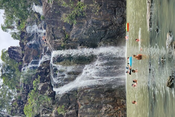 Airlie Waterfalls & Rainforest Bushwalk Eco Adventure - Getting out of Airlie: pickup, vehicle comfort, and timing that works