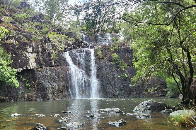 Airlie Waterfalls & Rainforest Bushwalk Eco Adventure - Why the guide energy matters more than you think