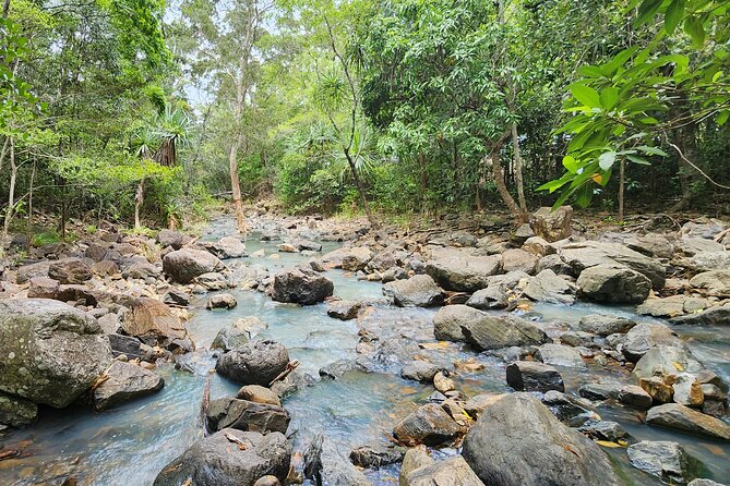 Airlie Waterfalls & Rainforest Bushwalk Eco Adventure - Price and value: what $85.56 buys you in real terms
