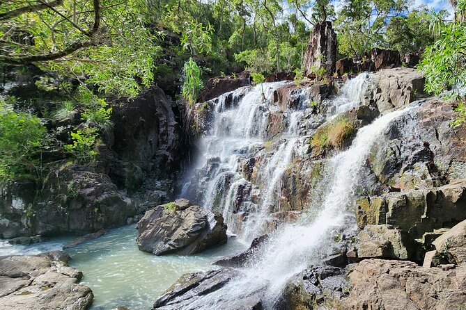Airlie Waterfalls & Rainforest Bushwalk Eco Adventure - What to bring for a smooth waterfall and rainforest morning