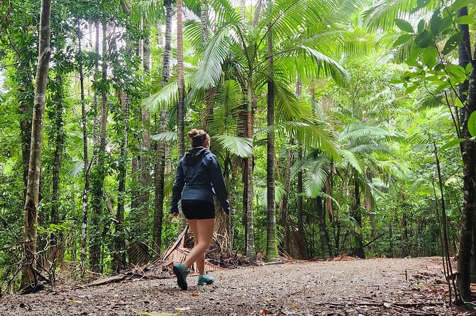 Airlie Waterfalls & Rainforest Bushwalk Eco Adventure - Who this tour is best for (and who might want something else)
