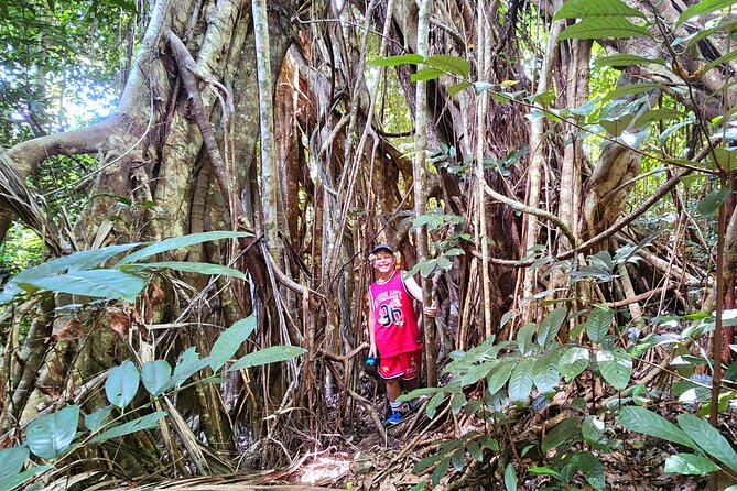 Airlie Waterfalls & Rainforest Bushwalk Eco Adventure - Weather and expectations: how to plan around mother nature