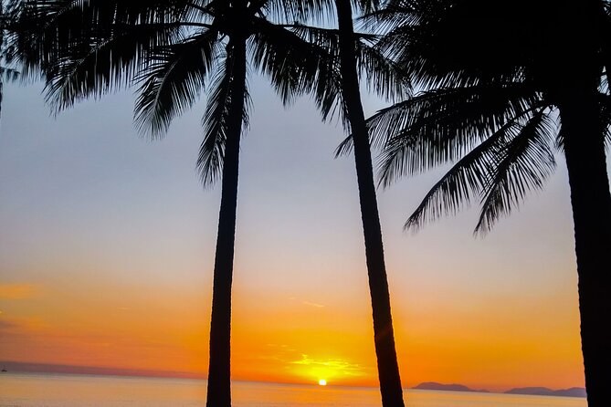 Airport Transfers between Cairns Airport and Cairns City - Who this transfer suits best in Cairns