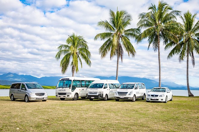 Airport Transfers between Cairns Airport and Palm Cove - Key Things to Know Before You Go