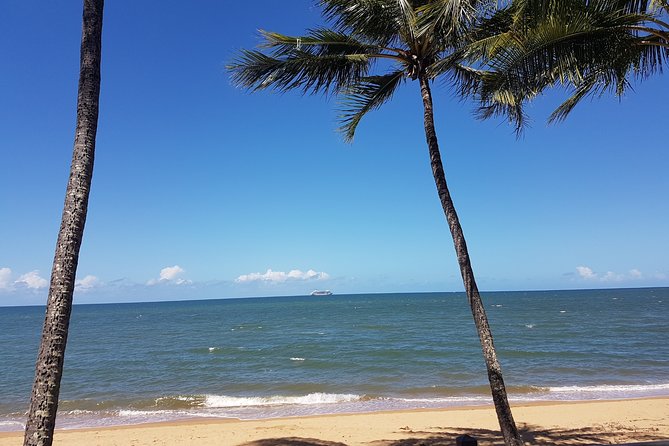 Airport Transfers between Cairns Airport and Palm Cove - Loading Time, Wait Time, and the One Thing to Plan For