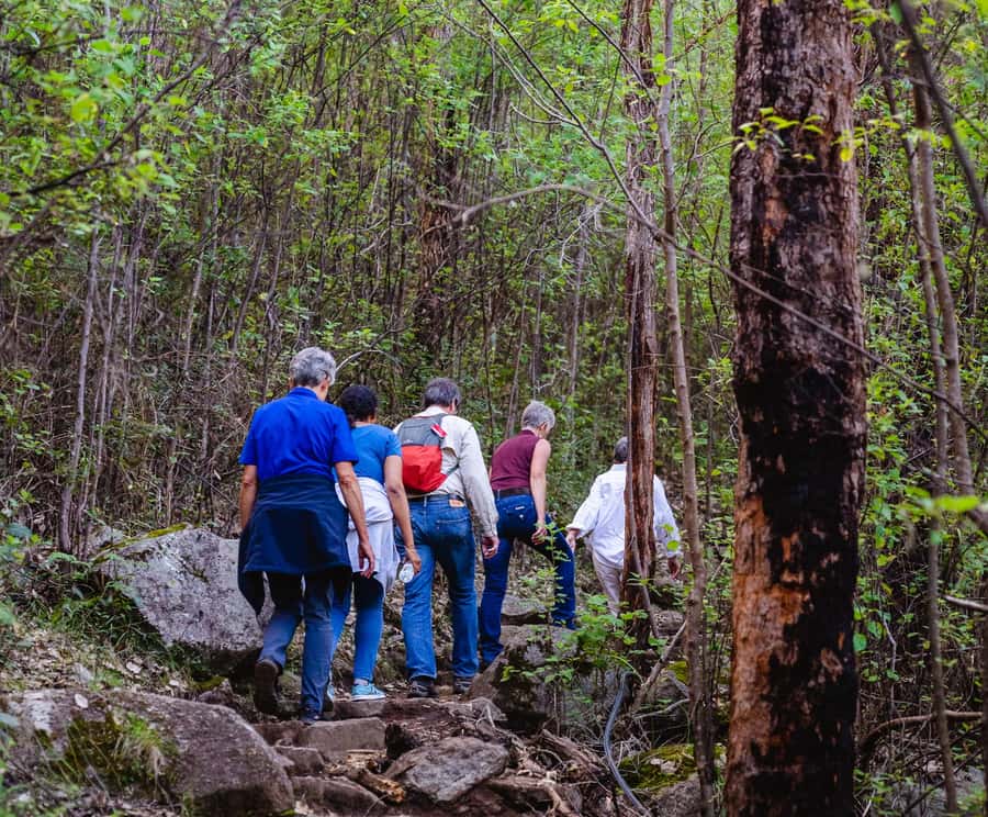 Albany: Guided Granite Skywalk in Porongurup National Park - Castle Rock climb: 4.2 km return, scramble, and enclosed ladder
