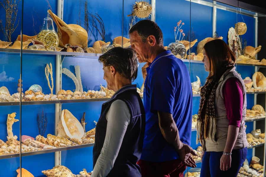 Albany: Historic Whaling Station Entry Ticket - Australian Wildlife Park, a family-friendly complement to the museum