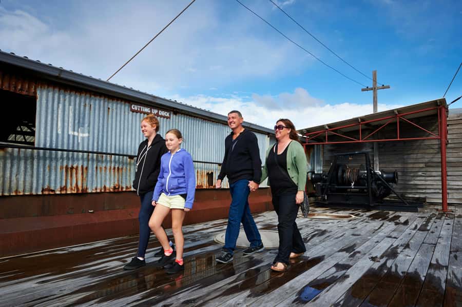 Albany: Historic Whaling Station Entry Ticket - Price and what $25 gets you in a full one-day visit