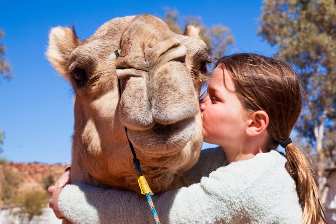 Alice Springs Camel Tour - First stop: Pyndan Camel Tracks near Alice Springs