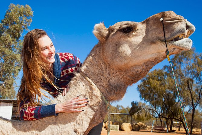 Alice Springs Camel Tour - Guides, camel personalities, and that small-group calm