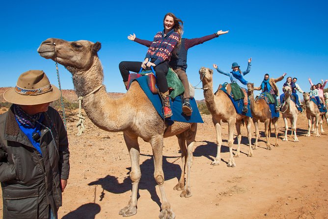 Alice Springs Camel Tour - Who this tour suits best (and who should pause)